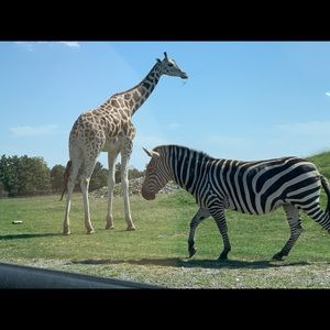 Meet your Posher, Nessma